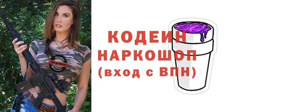 прущие грибы Коряжма