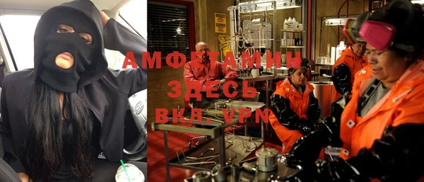 прущие грибы Коряжма