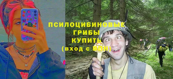 прущие грибы Коряжма